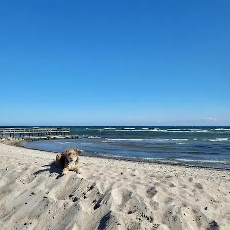 Ruhige Terrassenwohnung In Strandnaehe Fuer Bis Zu 4 Personen *